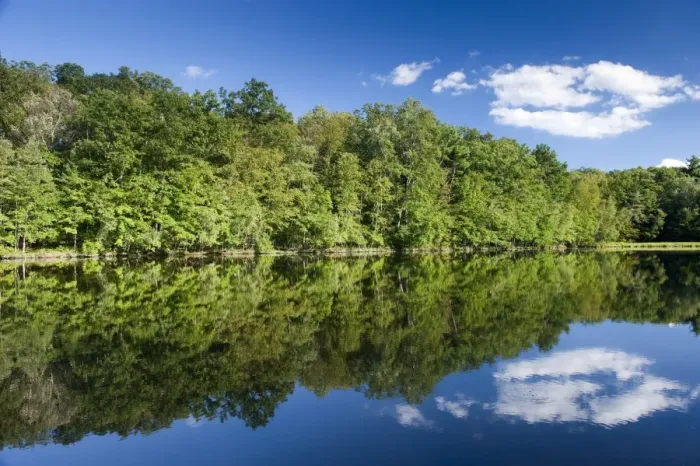 Framed Print : Woodland and clouds reflected in quiet lake, Bushkill Falls, Poconos Mountains, near Delaware Water Gap, Pennsylvania Framed Print : Woodland and clouds reflected in quiet lake, Bushkill Falls, Poconos Mountains, near Delaware Water Gap, Pennsylvania