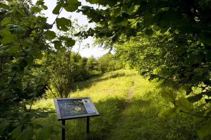 Framed Print : Woodland and downland habitat with information board, Charles Darwins Orchis Bank, Downe Bank Nature Reserve Framed Print : Woodland and downland habitat with information board, Charles Darwins Orchis Bank, Downe Bank Nature Reserve