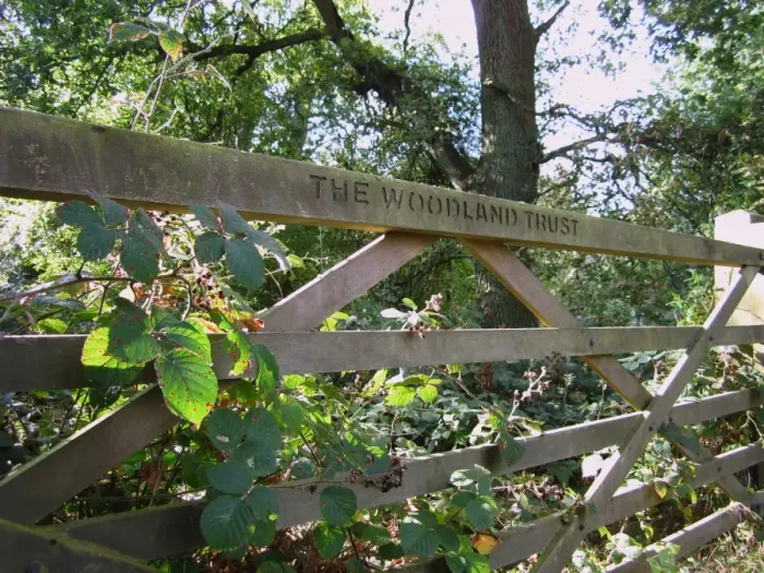 Framed Print : The Woodland Trust sign on wooden gate, Tring Park, Hertfordshire, England, october Framed Print : The Woodland Trust sign on wooden gate, Tring Park, Hertfordshire, England, october