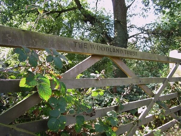 The Woodland Trust sign on wooden gate, Tring Park, Hertfordshire, England, october