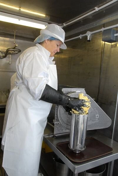 Worker making organically made butter from unpasteurized milk, on organic dairy farm, Hook and Son, Longleys Farm