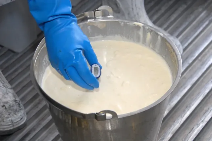 Framed Print : Worker taking temperature from bucket of cream, prior to making organically made butter from unpasteurized milk