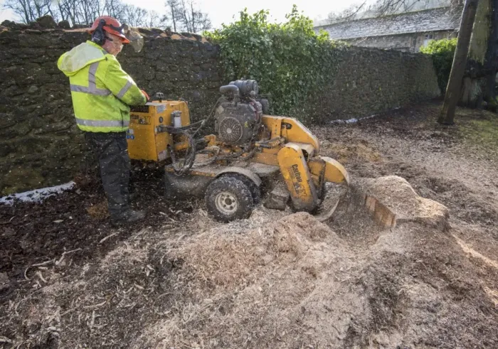 Framed Print : Worker using Carlton stump grinder to remove tree stump, Whalley, Clitheroe, Lancashire, England, January Framed Print : Worker using Carlton stump grinder to remove tree stump, Whalley, Clitheroe, Lancashire, England, January