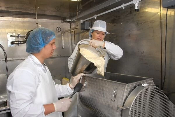 Workers pouring raw unpasteurized cream into churn, making organically made butter from unpasteurized milk
