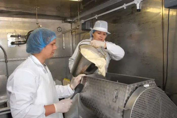 Framed Print : Workers pouring raw unpasteurized cream into churn, making organically made butter from unpasteurized milk Framed Print : Workers pouring raw unpasteurized cream into churn, making organically made butter from unpasteurized milk