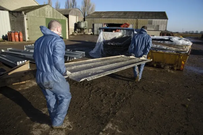 Framed Print : Workers removing agricultural building roofing sheets containing asbestos Framed Print : Workers removing agricultural building roofing sheets containing asbestos
