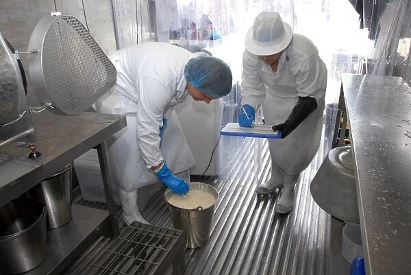 Workers taking temperature from bucket of cream, prior to making organically made butter from unpasteurized milk