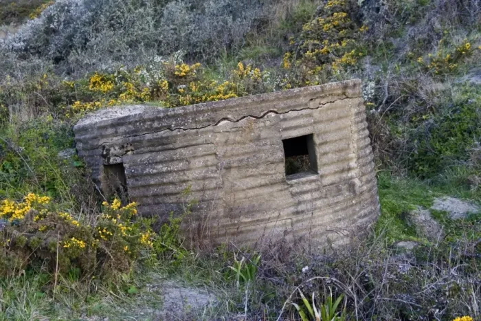 Framed Print : World War Two FW3 Type 25 pillbox overlooking beach, Ringstead Bay, Dorset, England, April