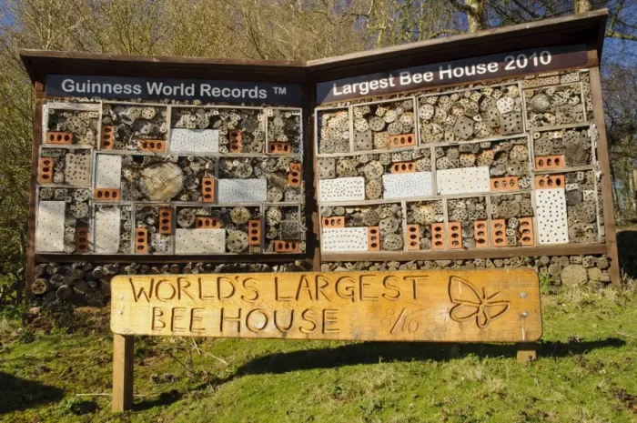 Framed Print : Worlds Largest Bee House, Guinness World Record holder for largest bug hotel, Sevenoaks Wildlife Reserve, Kent Framed Print : Worlds Largest Bee House, Guinness World Record holder for largest bug hotel, Sevenoaks Wildlife Reserve, Kent