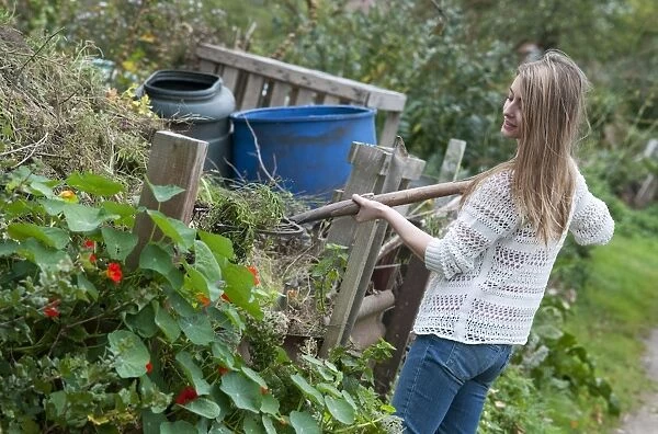 Young female gardener with fork, adding material to compost heap in allotment garden, Norfolk, England, october
