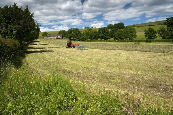 Zetor Proxima 75 tractor with flat eight bale system, baling in traditional hay meadow