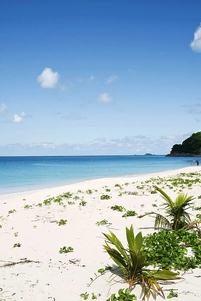 Darkwood Beach, Antigua, West Indies, Caribbean, Central America