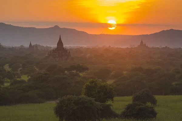 Myanmar. Bagan. Temples of Bagan at sunset