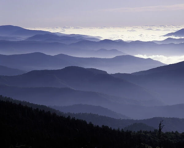 N. A. USA, Tennessee. Great Smokey Mountains National Park. Southern Appalachian Mountains at dawn