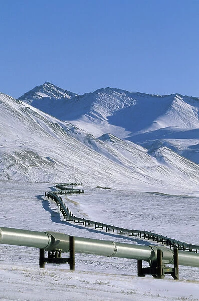 North America, USA, Alaska, Brooks Range. Trans-Alaskan Oil Pipeline