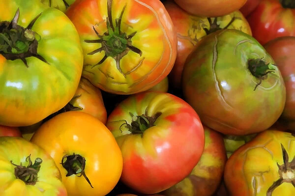 North America, USA, Georgia; Savannah; Organic tomatoes at a farmers market
