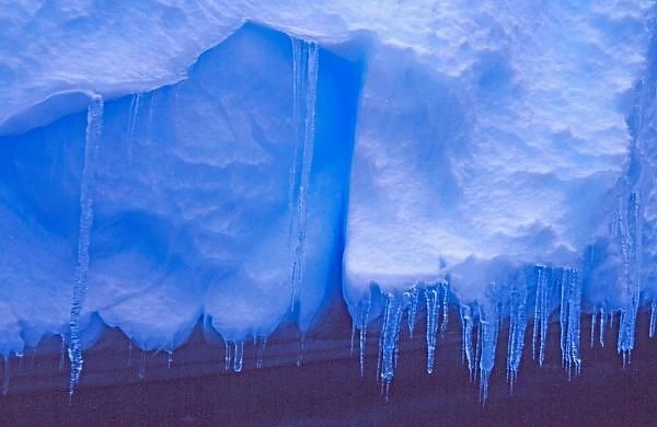 Pleneau Iceberg Graveyard, Antarctica: Blue Icebergs