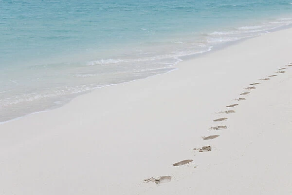 Tracks on sand beach