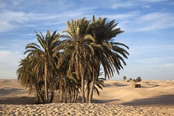 Tunisia, Sahara