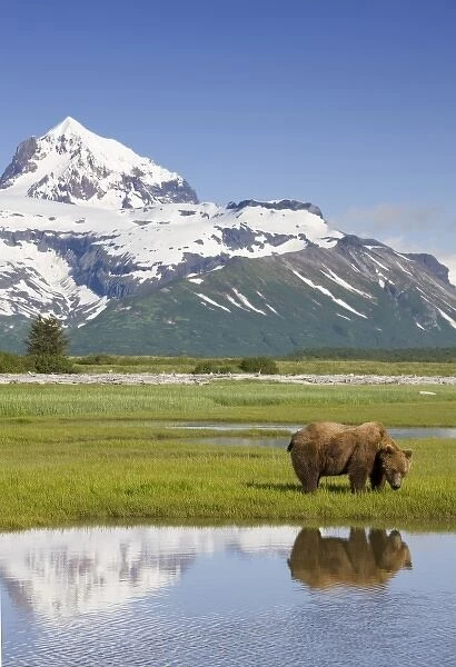 USA, North America, Alaska