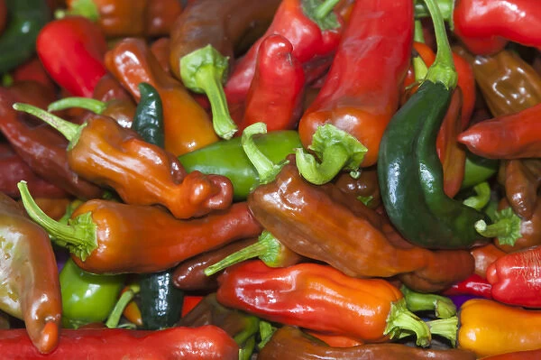 USA; North America; Georgia; Savannah; Fresh colorful peppers at a Farmers Market