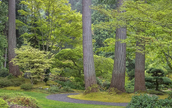 USA, Washington State, Bainbridge Island. Garden path composite panoramic