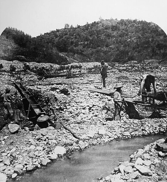 CHINESE PROSPECTORS, c1851. Chinese immigrants working at placer mining in California