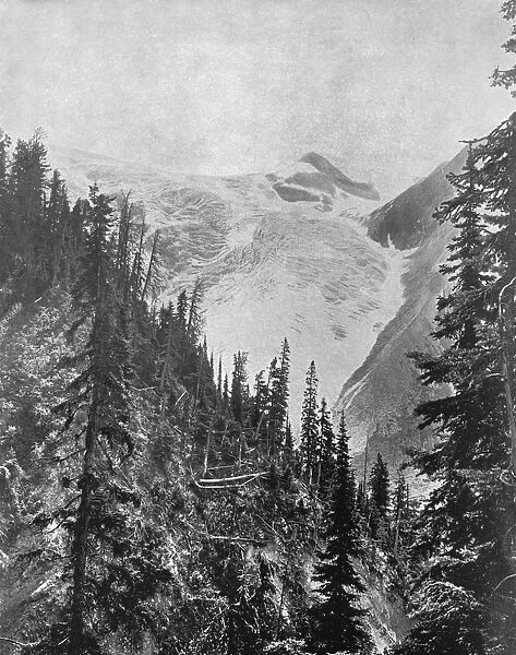 ILLECILLEWAET GLACIER, c1890. The Illecillewaet Glacier in British Columbia, Canada