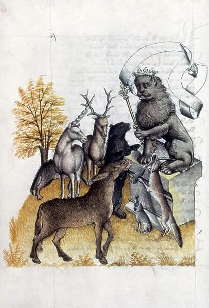 LION, KING OF BEASTS. Austrian manuscript illumination, late 15th century