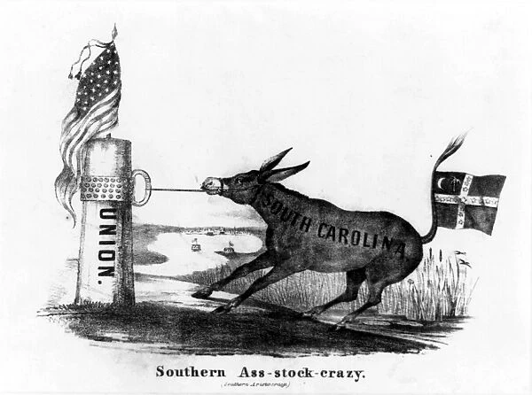 SECESSION CARTOON, 1861. Southern Ass-Stock-Crazy (Southern Aristocracy). Cartoon of South Carolina depicted as a stubborn donkey seceding from the Union, 1861