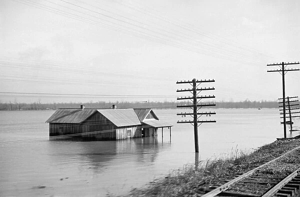 TENNESSEE: FLOOD, 1937. View from a train en route from Memphis, Tennessee to Forrest City
