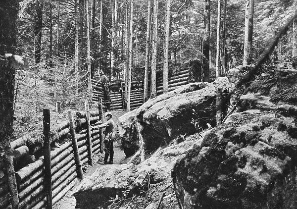 WORLD WAR I: GERMAN TRENCH. German trenches in the Vosges Mountains in France during World War I