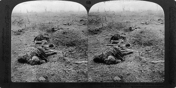 WORLD WAR I: SCOTTISH DEAD. Scottish casualties after a battle at Flanders Field, Belgium