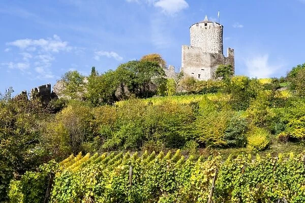 The Chateau de Kaysersberg and vineyards in Kaysersberg, France