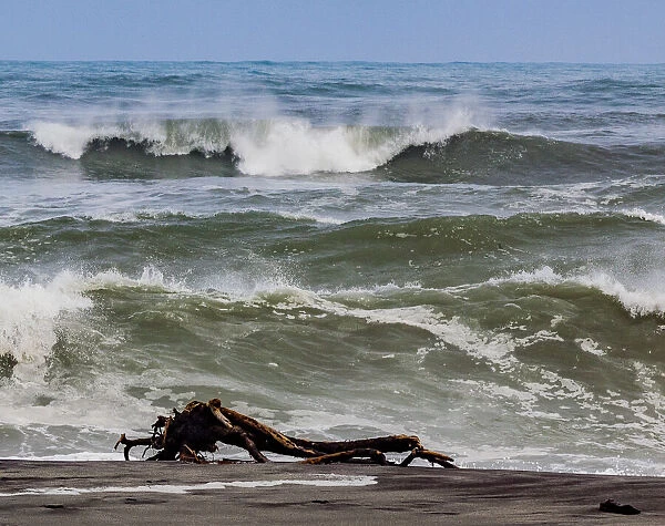 A sea-borne log on the beach at Hokitika in West Coast, New Zealand