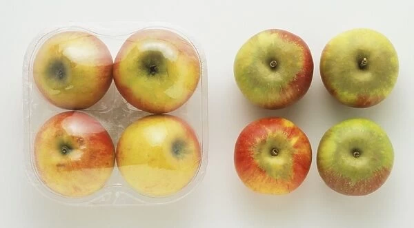 Four apples, in and out of plastic box