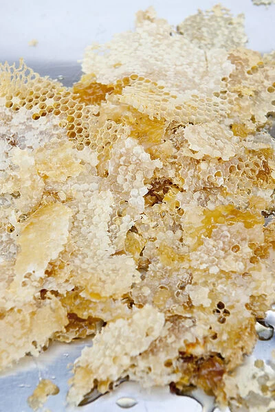 Bits of honeycomb scraped out from frame