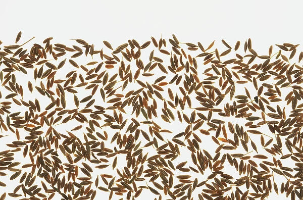 Caraway seeds