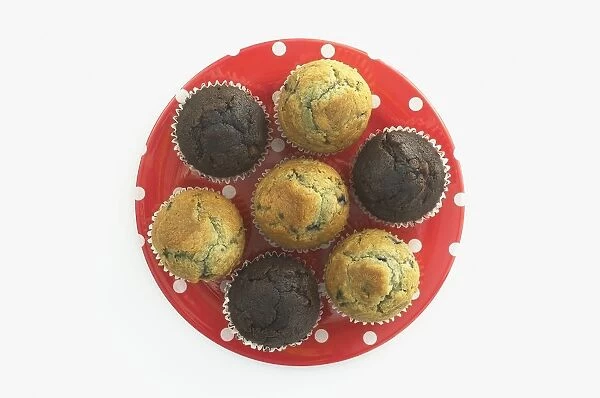 Chocolate and blueberry muffins on polka dot plate