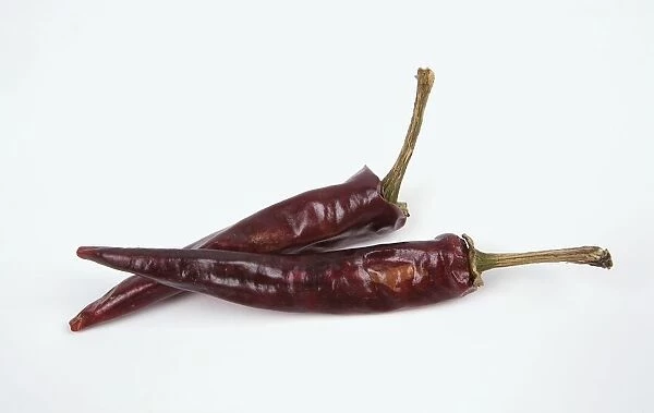 Two dried red chilli peppers