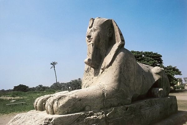 Egypt, Cairo Governorate, Mit Rahina, Alabaster sphinx