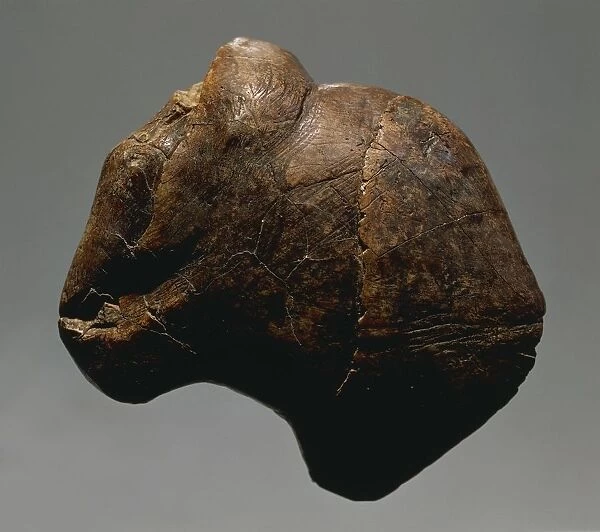 Engraved mammoth bone, from Predmosti