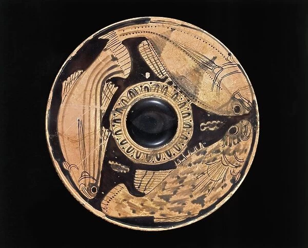 Etruscan civilization, Red-figure pottery, Plate depicting fish, From Spina, Ferrara Province