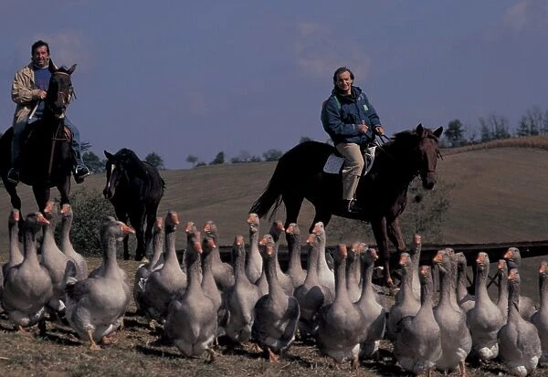 France. Gascony. Men on Horseback and Geese