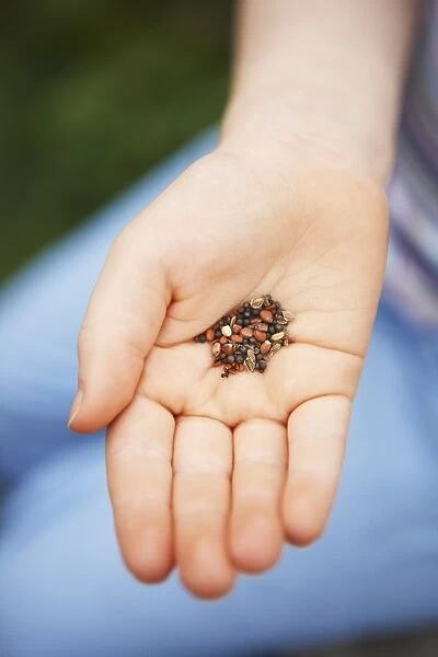 Girl holding salad seeds in palm of hand, close-up