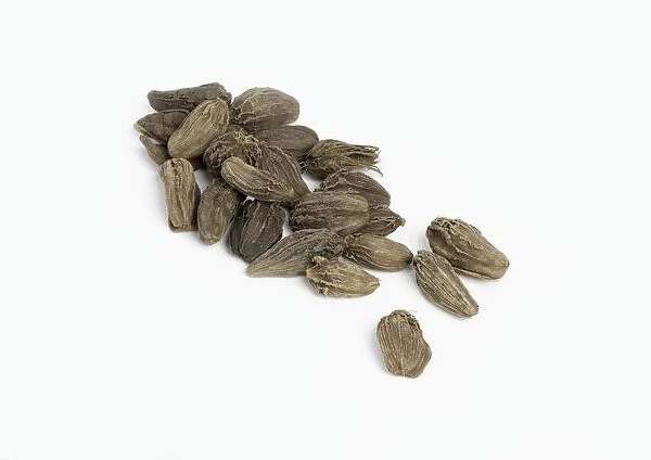 Heap of black cardamom seed pods