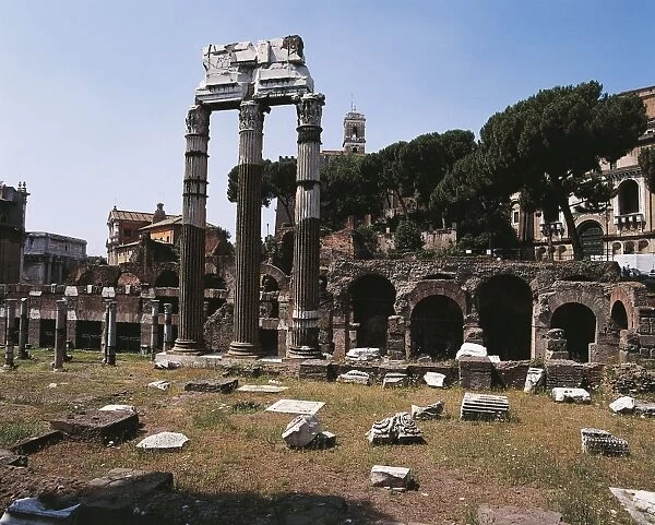 Italy, Latium region, Rome, Imperial Fora, Forum of Caesar, columns of Temple of Venus Genetrix