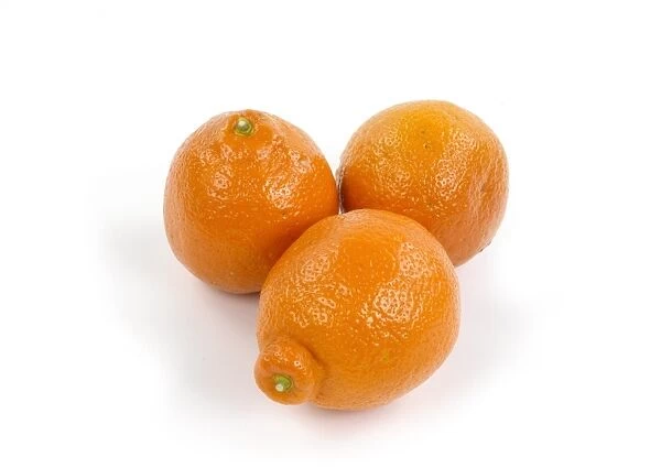 Three whole Jaffa oranges