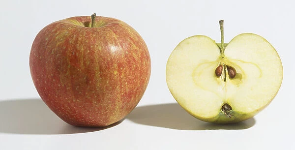 Malus pumila, two Apples, one cut in half showing flesh and core