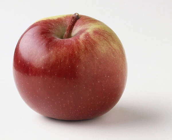 Malus pumila, red Apple, close up